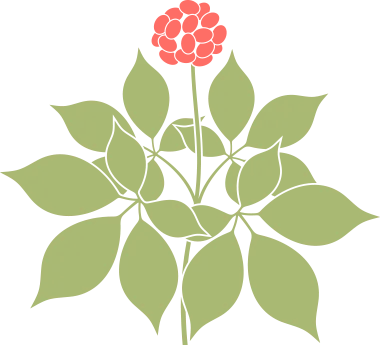 金日光教授：（七十九）永不忘当年钱老劝导我们“用当代科学传承《黄帝内经》医理和建立《中药本草》科学药理标准”的教导(图3)