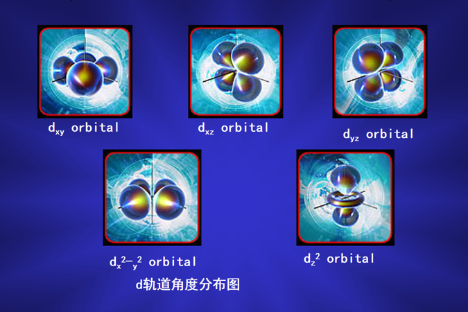 金日光教授：（八十一｜上）永不忘当年钱老劝导我们“用当代科学传承《黄帝内经》医理和建立《中药本草》科学药理标准”的教导(图10)