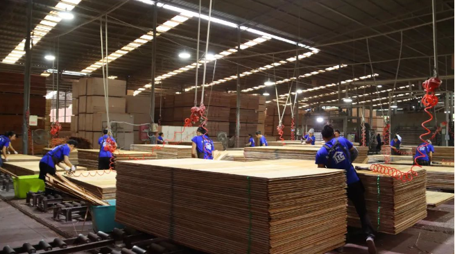 年产值1.8亿元 |看三都这家木材加工厂的十年之变