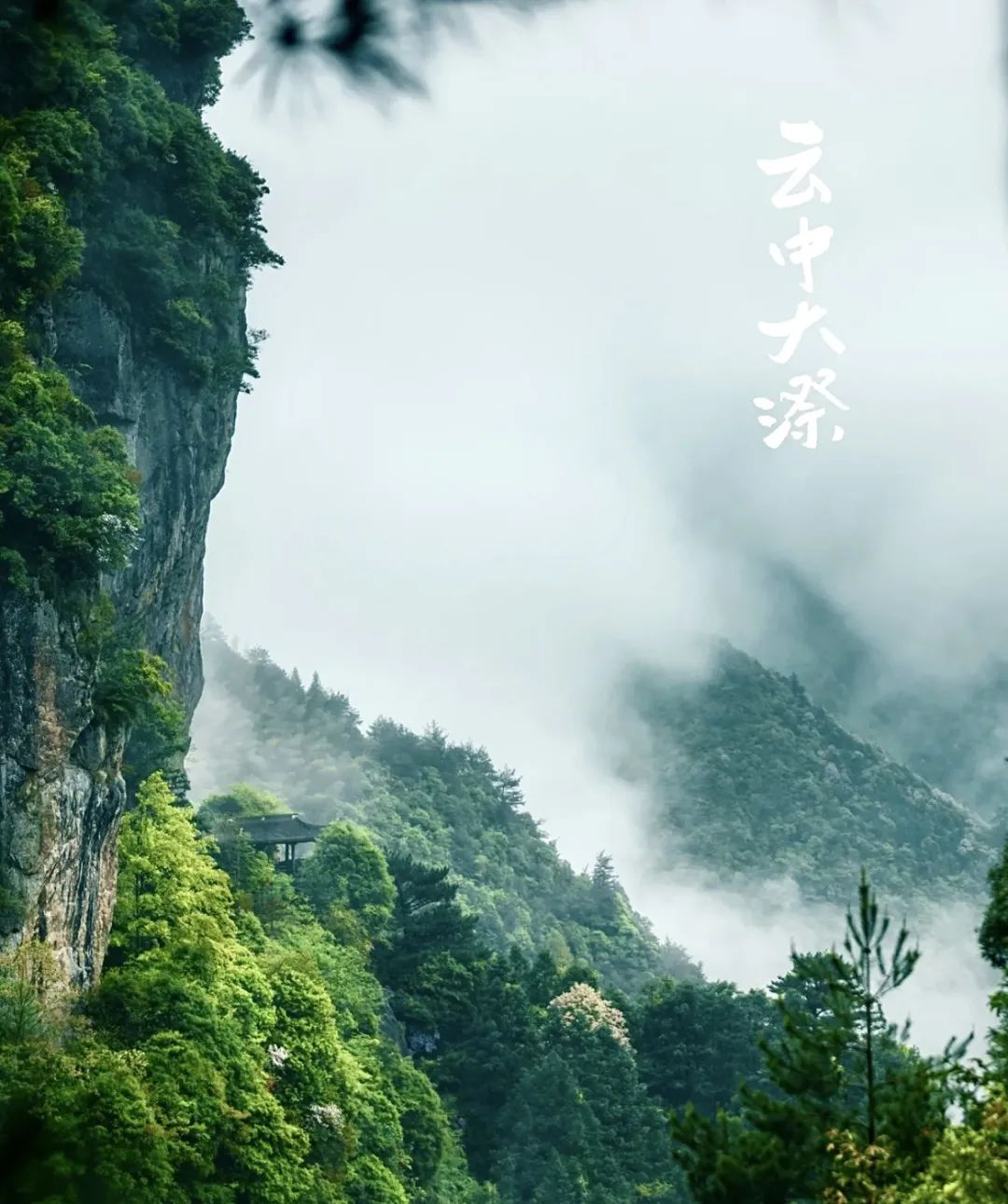 71f75515cfaae827f423ce06f9654d42.png