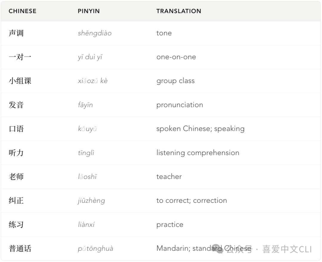 Private vs Group Chinese Lessons ： Choose the Right Format for You