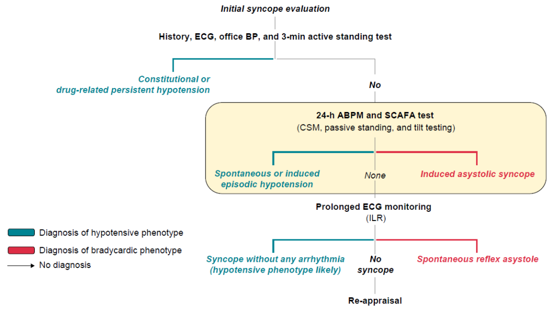 abp在医学是什么意思Europace ｜ 破解晕厥之谜：ESC发布非心源性晕厥治疗新指南_https://www.jmylbn.com_新闻资讯_第3张