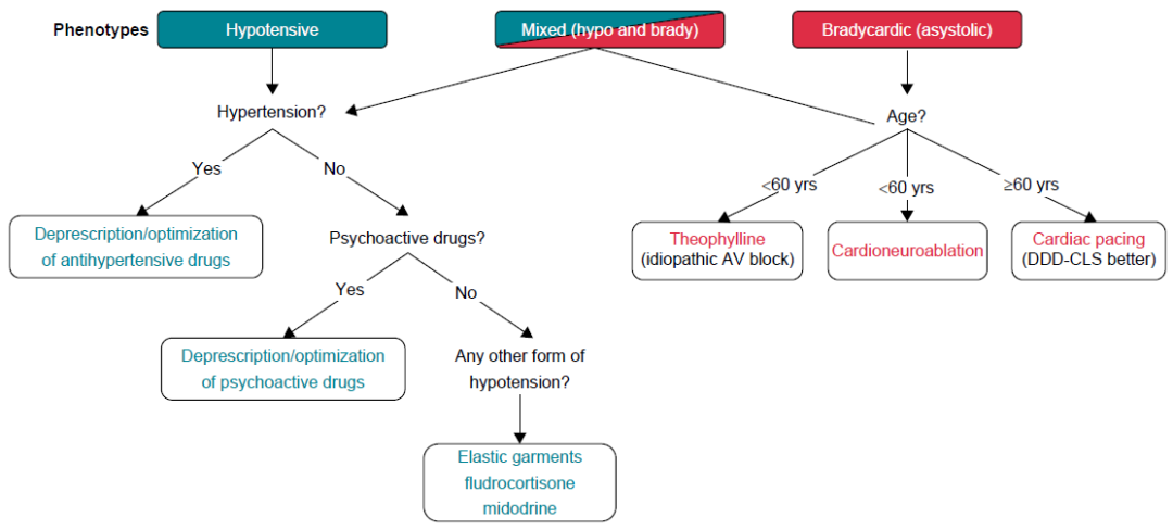 abp在医学是什么意思Europace ｜ 破解晕厥之谜：ESC发布非心源性晕厥治疗新指南_https://www.jmylbn.com_新闻资讯_第6张