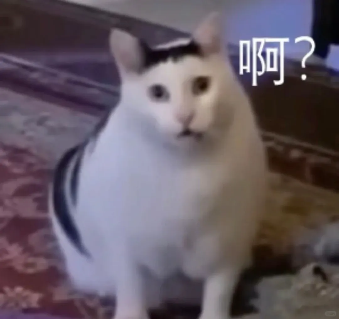 一头乌黑秀发搭配标志性的疑惑表情,那句"啊?