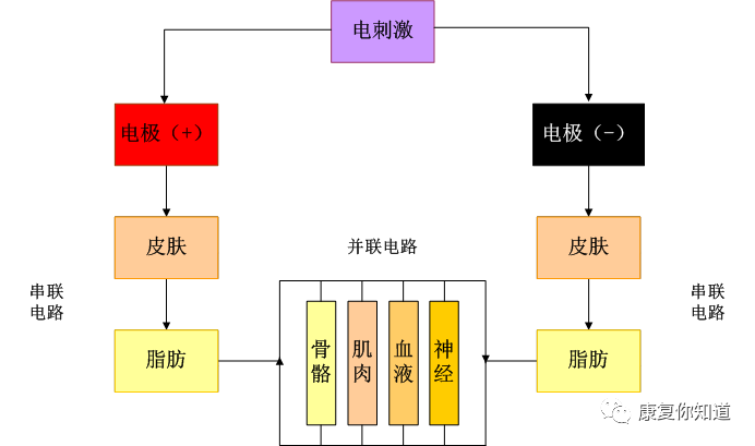 中频为什么能镇痛许多理疗馆用的中频电疗法的治疗作用和用法~~~_https://www.jmylbn.com_新闻资讯_第2张