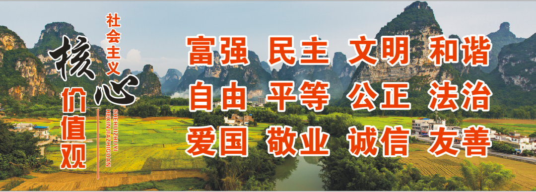 肋骨固定板怎么拆骨折里的钢板螺钉：是时候说“再见”了吗？—— 关于内固定物取与不取的全面解读_https://www.jmylbn.com_新闻资讯_第2张
