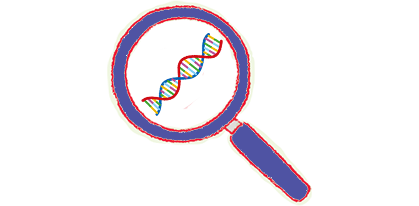 染色体检查用什么试管_染色体试管_9号染色体倒位必须做试管吗