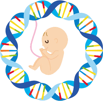 染色体检查用什么试管_9号染色体倒位必须做试管吗_染色体试管