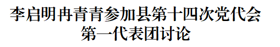李启明冉青青参加县第十四次党代会第一代表团讨论