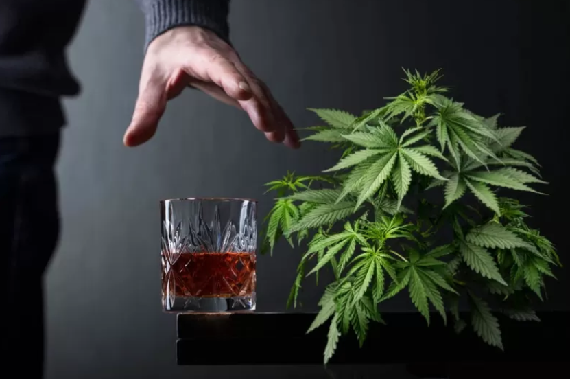 新医学研究表明，大麻可减少酒鬼们对酒精的依赖