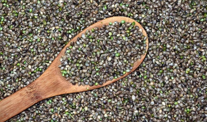 特朗普下令关闭农业部贸易委员会，美国汉麻产业再遭打击