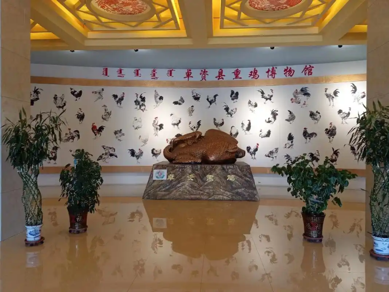 image26.png