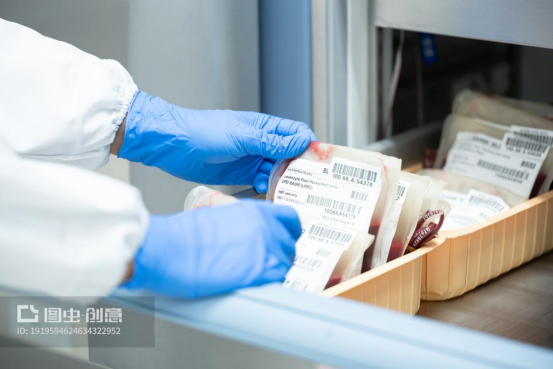 血袋号是什么爱在流转 码上安全——解密血袋条形码的奥秘_https://www.jmylbn.com_新闻资讯_第5张