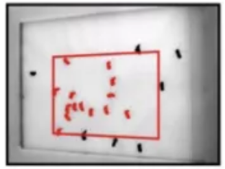 蚊子|如何科学地让蚊子去咬别人?