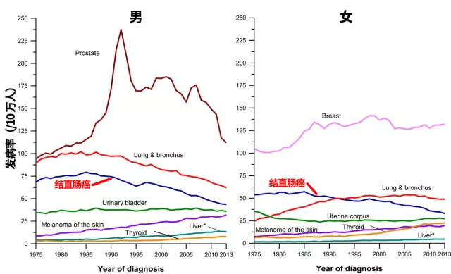 一個能查出癌症的體檢項目，超過 40 歲的人都要做 健康 第4張