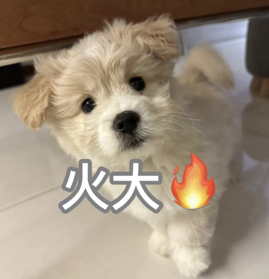 嘴唇干裂脱皮怎么办