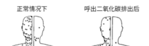 蚊子|如何科学地让蚊子去咬别人?