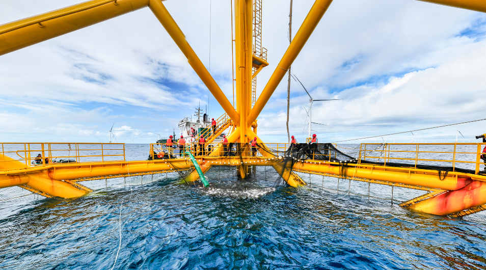 省报看阳西聚焦新春第一会阳西拿出闯的精神创的劲头