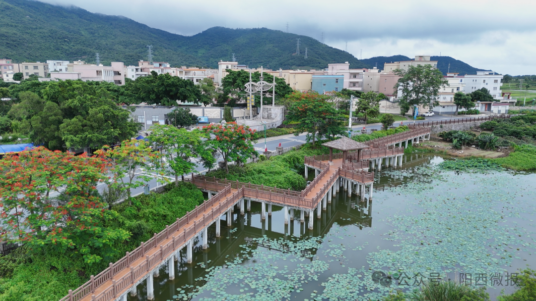 今年以来,阳西县深入实施镇村清洁行动,打造宜居宜业的美丽圩镇,美丽