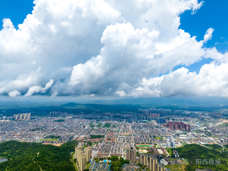 全省首批试点!阳西县以头号力度抓"头号