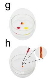图4.png
