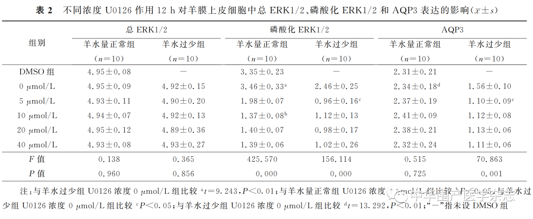上皮细胞用什么染色温故知新｜水通道蛋白3在人羊膜上皮细胞中的 表达及调控_https://www.jmylbn.com_新闻资讯_第3张