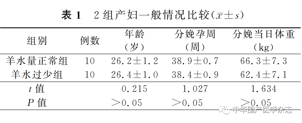 上皮细胞用什么染色温故知新｜水通道蛋白3在人羊膜上皮细胞中的 表达及调控_https://www.jmylbn.com_新闻资讯_第1张