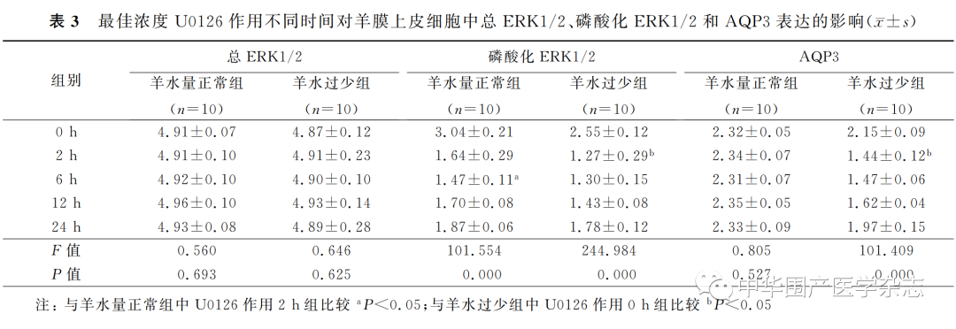 上皮细胞用什么染色温故知新｜水通道蛋白3在人羊膜上皮细胞中的 表达及调控_https://www.jmylbn.com_新闻资讯_第4张