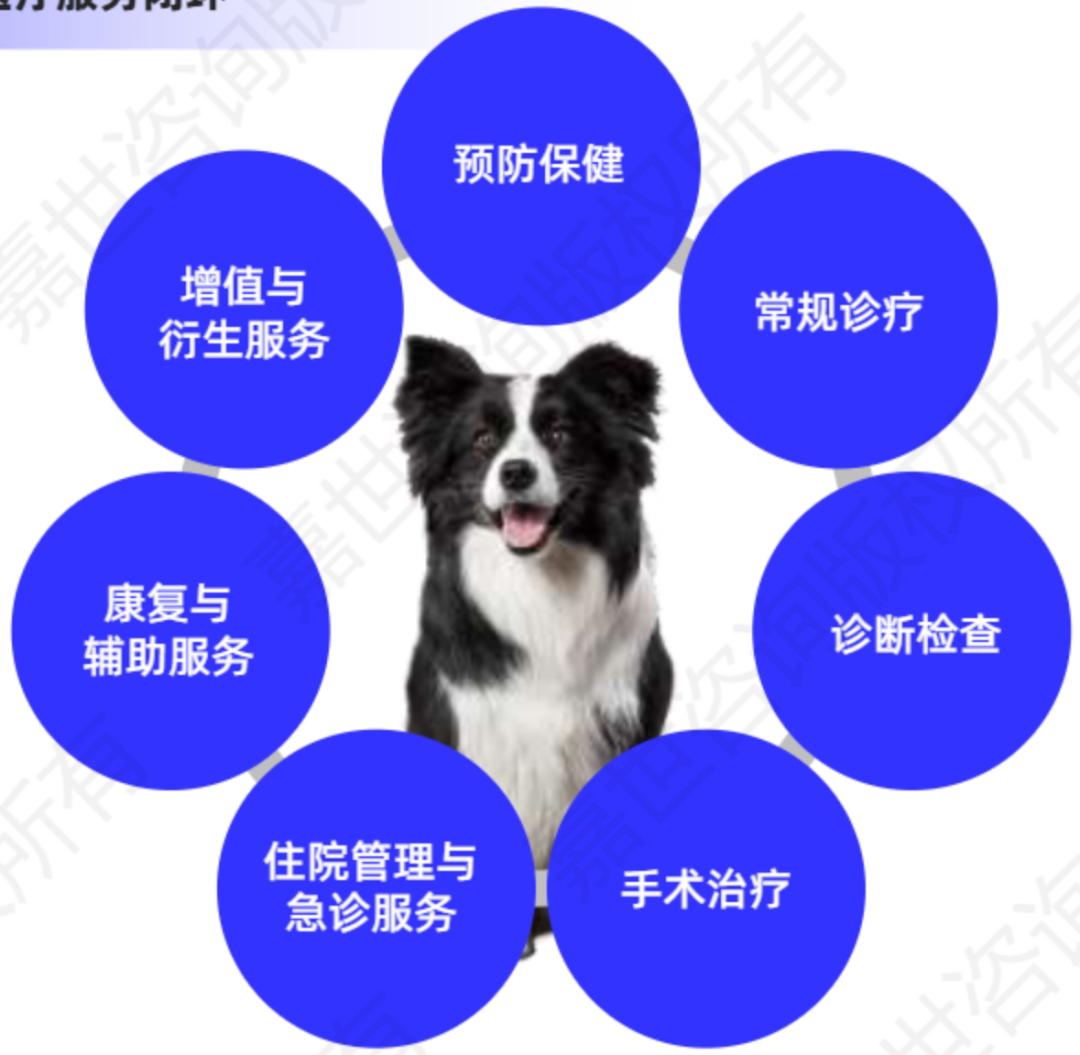 宠物医疗设备怎么用中国宠物医疗行业市场分析_https://www.jmylbn.com_新闻资讯_第3张