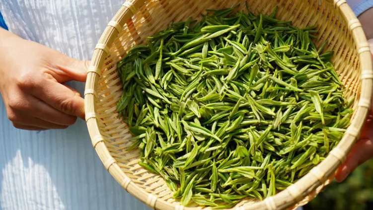 640_wx_fmt=png&tp=webp&wxfrom=5&wx_lazy=1.webp (1).png