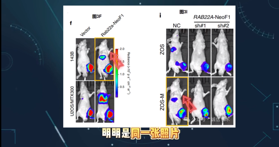 2026年5月4日，耿同学举报中山大学肿瘤防治中心实验研究部副主任康铁邦发表在《Nature》子刊上的论文存在数据和图像造假的嫌疑。（图片来源｜@耿同学讲故事视频截图）
