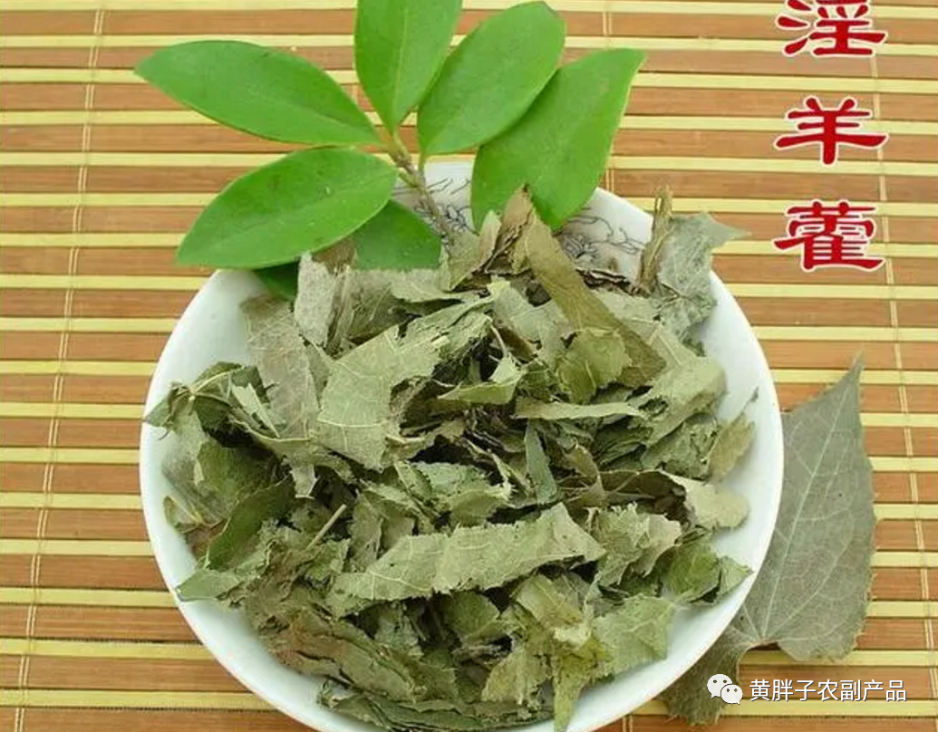 每日一药---淫羊藿