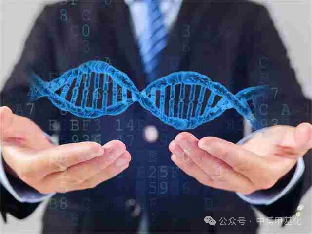 广元剑阁可以做胰腺癌靶向治疗基因检测办理攻略须知？多久出结果？