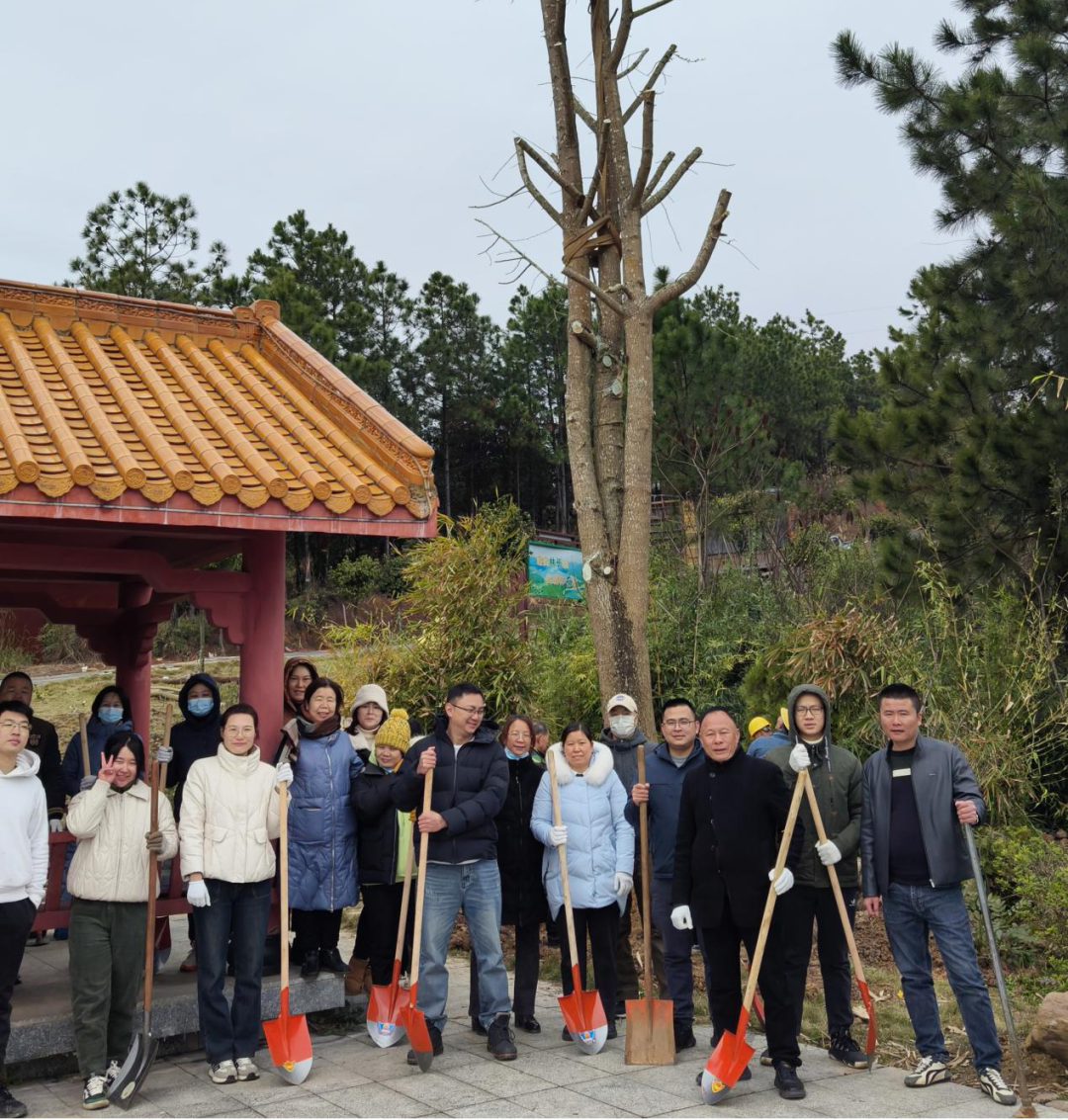 马坝森林公园图片