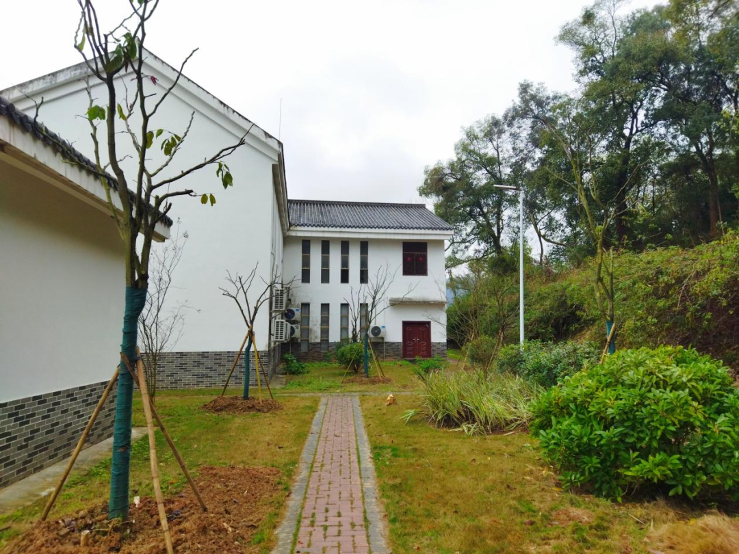 马坝镇凝聚各方力量共绘绿美乡村