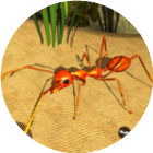 蚂蚁部落进化生存