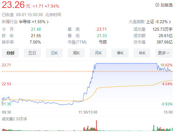 半导体：士兰微（600460）基本面分析，风险与机遇！