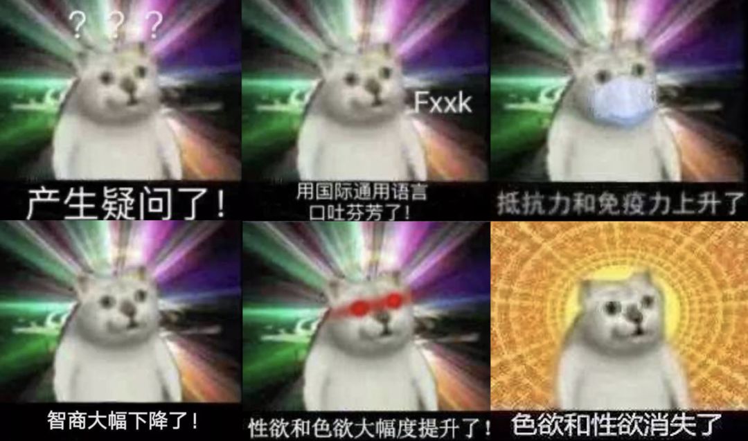 爆红mur猫表情竟来自gv 我搜遍全网找到了资源 你丫才美工 微信公众号文章阅读 Wemp