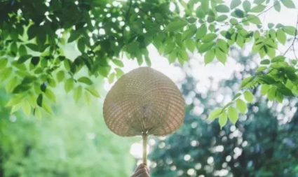 广西藤县中职学校有那些-高职有哪些学校-哪些技校学校