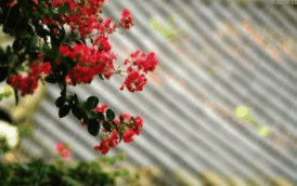 广州市华风技工学校2024招生简章