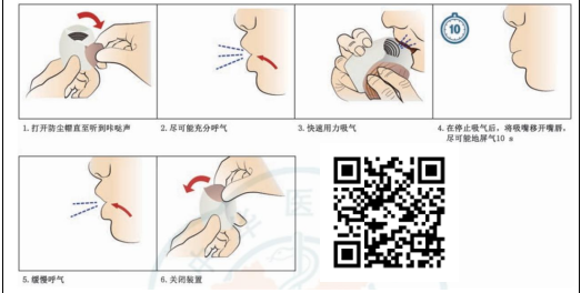 新呼泰怎么用【健康科普】正确使用吸入剂，顺畅呼吸迎新春！_https://www.jmylbn.com_新闻资讯_第13张