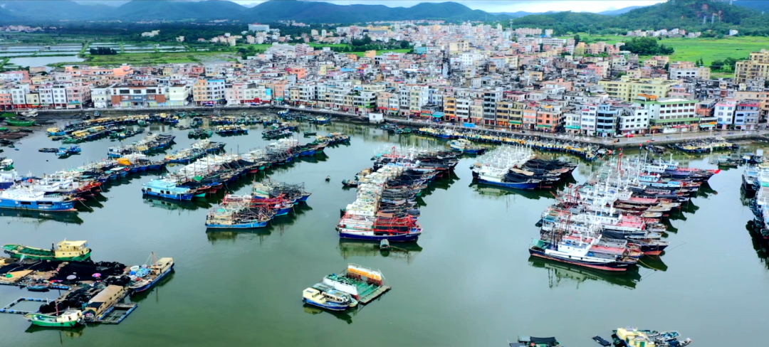 《广东新风采》| 蓝色经济 法治新兴——广东省阳西县溪头镇新兴渔村