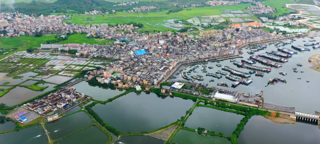 《广东新风采》| 蓝色经济 法治新兴——广东省阳西县溪头镇新兴渔村