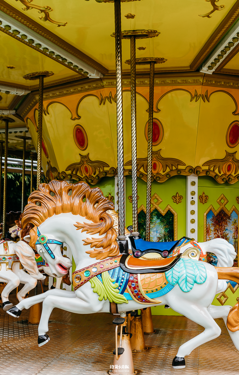 ���ڡ�С���ǡ�������ɽ�ּ�