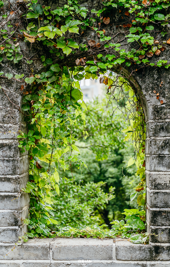 ���ڡ�С���ǡ�������ɽ�ּ�