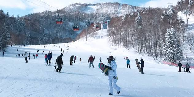日本旅游价格下跌 大湾区雪季往返北海道2K 燃油费上调前速抢