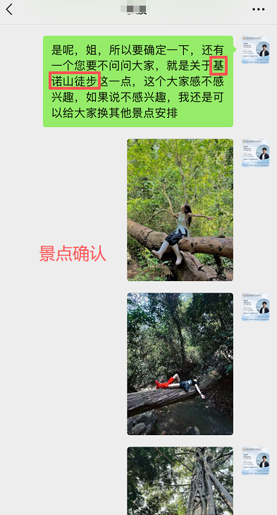 基诺山雨林徒步实拍