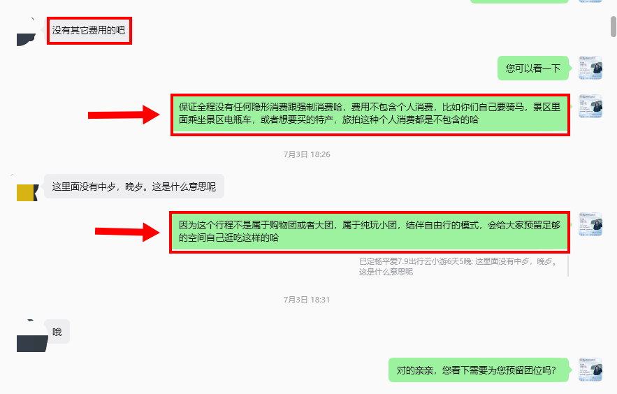 客人追问是否有隐形消费，定制师说明纯玩小团、无强制消费