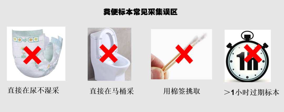 化验大便怎么采集如何淡定、优雅地采集粪便标本，你真的会吗？_https://www.jmylbn.com_新闻资讯_第5张