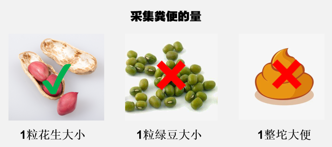 化验大便怎么采集如何淡定、优雅地采集粪便标本，你真的会吗？_https://www.jmylbn.com_新闻资讯_第9张